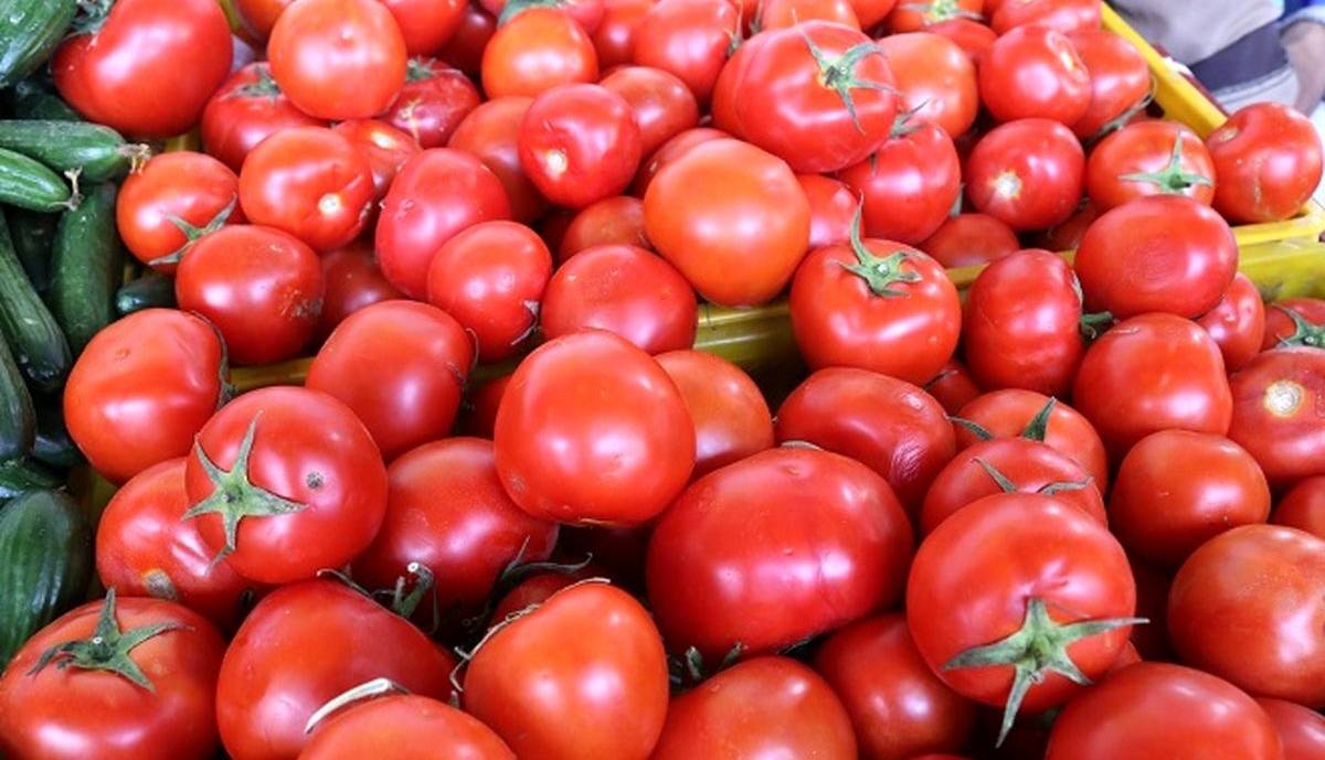 چرا گوجه‌ فرنگی از سطح بازار جمع‌آوری شد؟