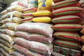 پشت پرده جهش قیمت برنج ایرانی پای دلار در میان است؟